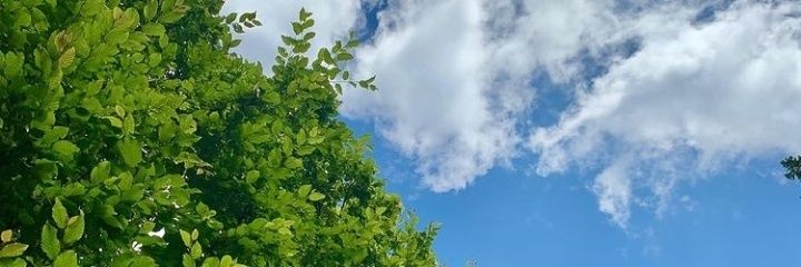 Gursharn_77's profile banner image