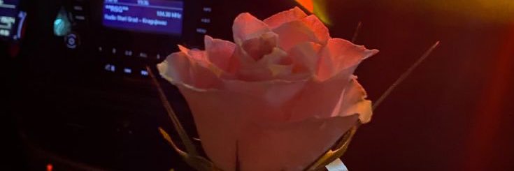 ShahdShbrawi's profile banner image