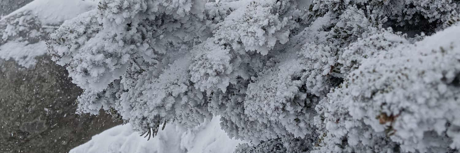 dinne24's profile banner image