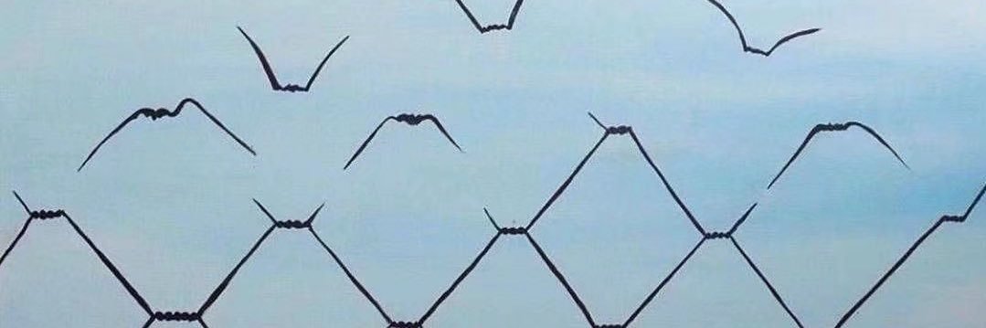 阿橘橘橘猫 banner