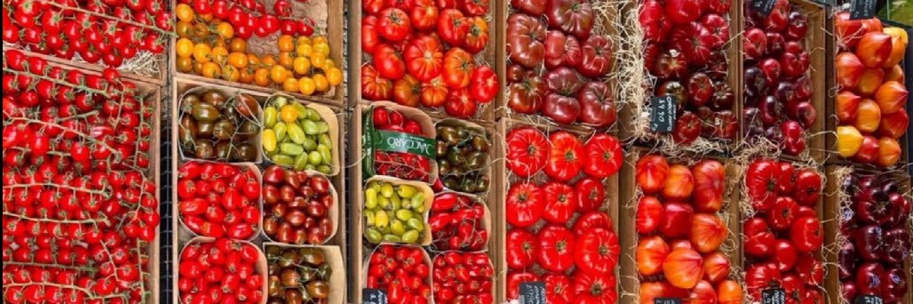 bandit 🇱🇷 banner