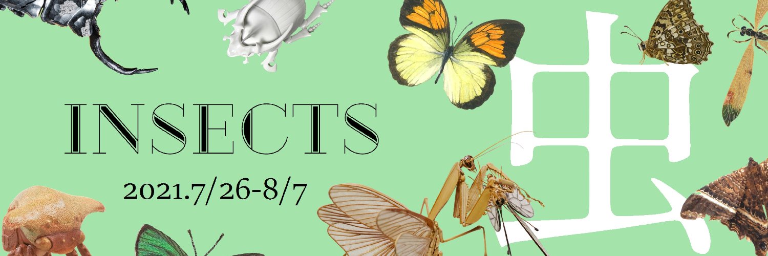 INSECTS 虫展's banner