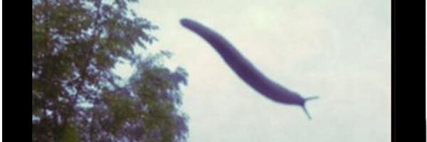 PervyPepper Profile Banner