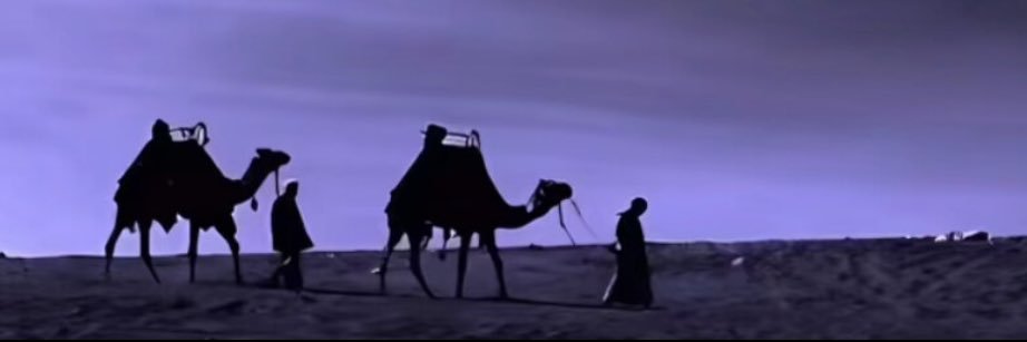 Ra11777's profile banner image