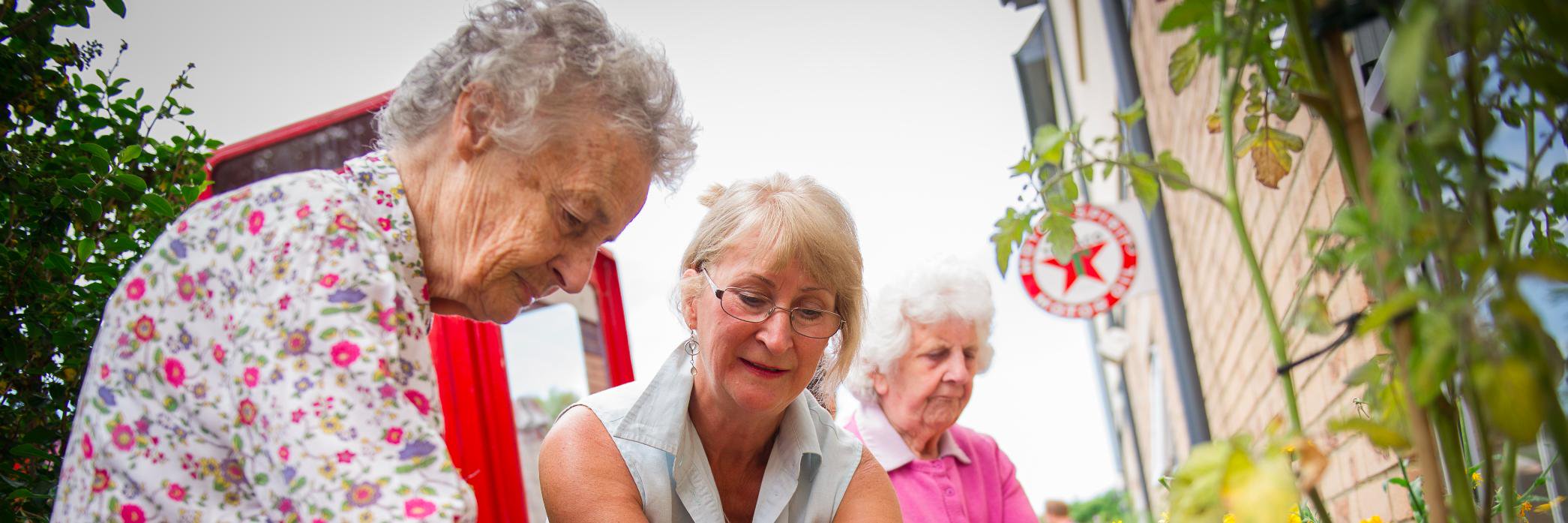 Growing Support banner