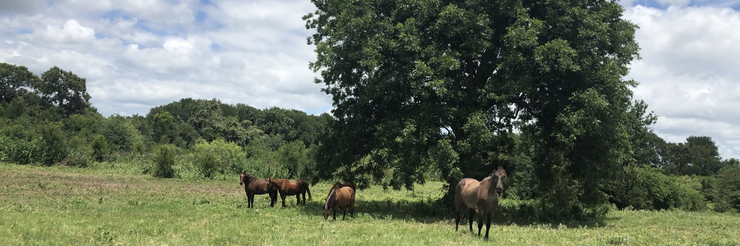 kayla rawlings banner