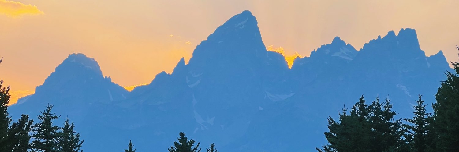 tanmanroberts's profile banner image