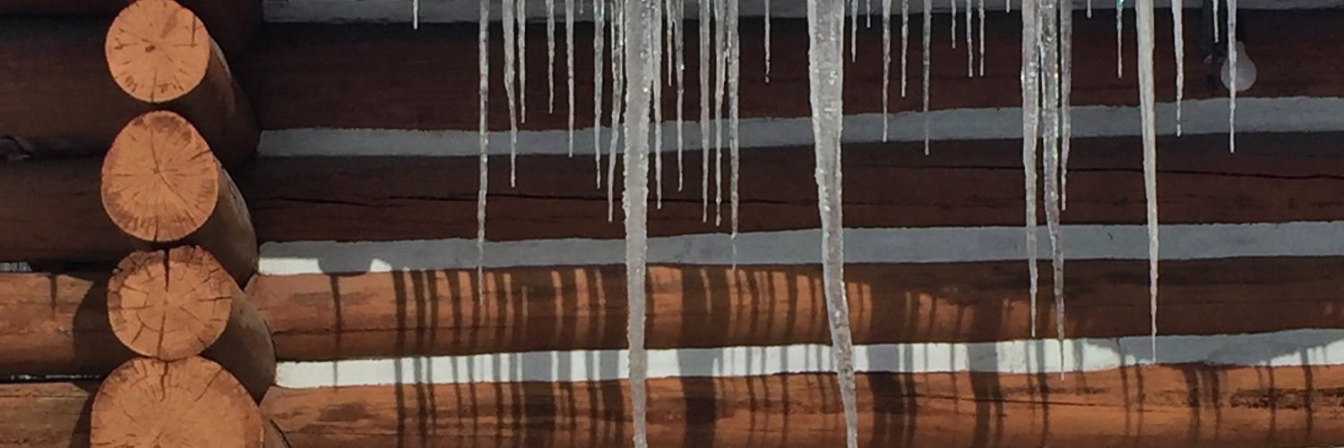 AlisonSnowball's profile banner image