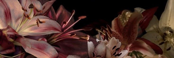_its_zel_'s profile banner image