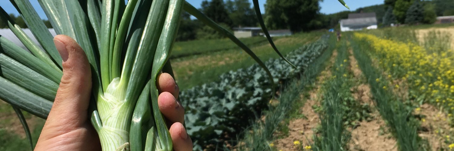 CHQLocalFood's profile banner image