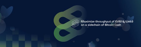 SmartBCH Profile Banner