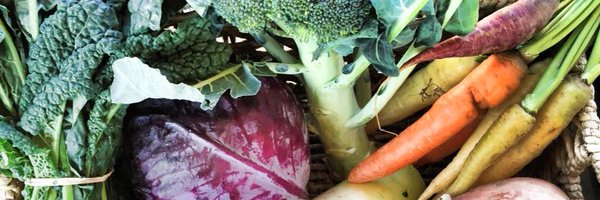 SangLeeFarm Profile Banner