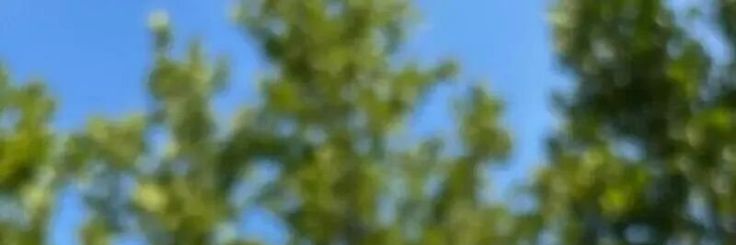 𓇢𓆸 banner