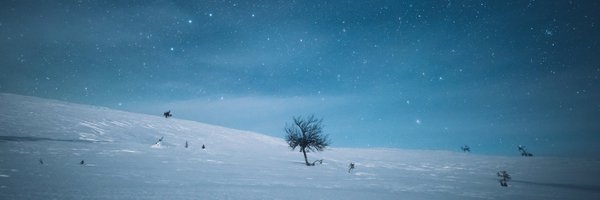 ArcticBlueBev Profile Banner