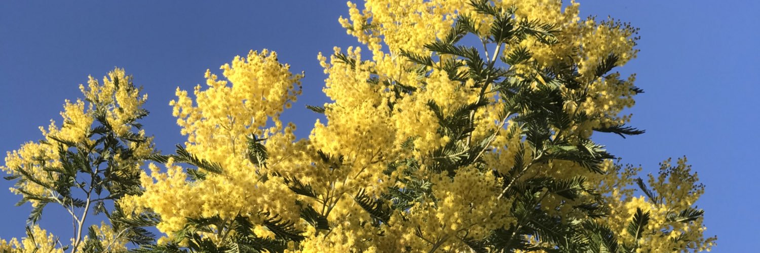 Historietas de mamá banner