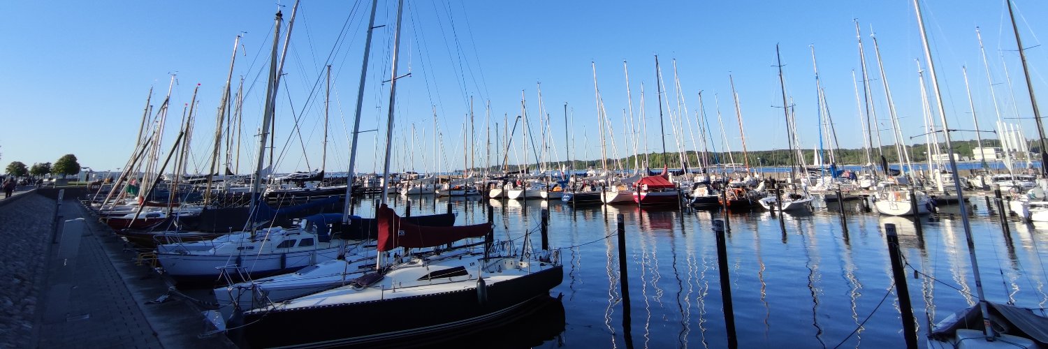 Han Chu 楚晗 banner