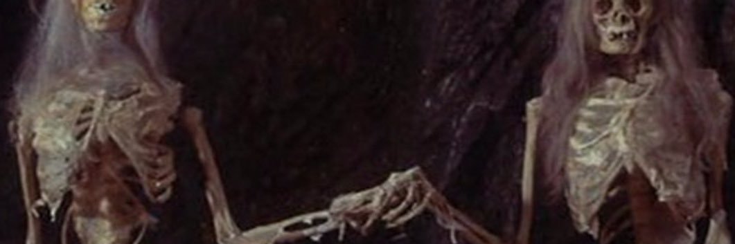 𝖘𝖊𝖑𝖎𝖓𝖆☁️ banner