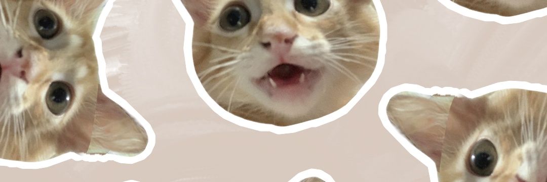 hahabsbsk's profile banner image