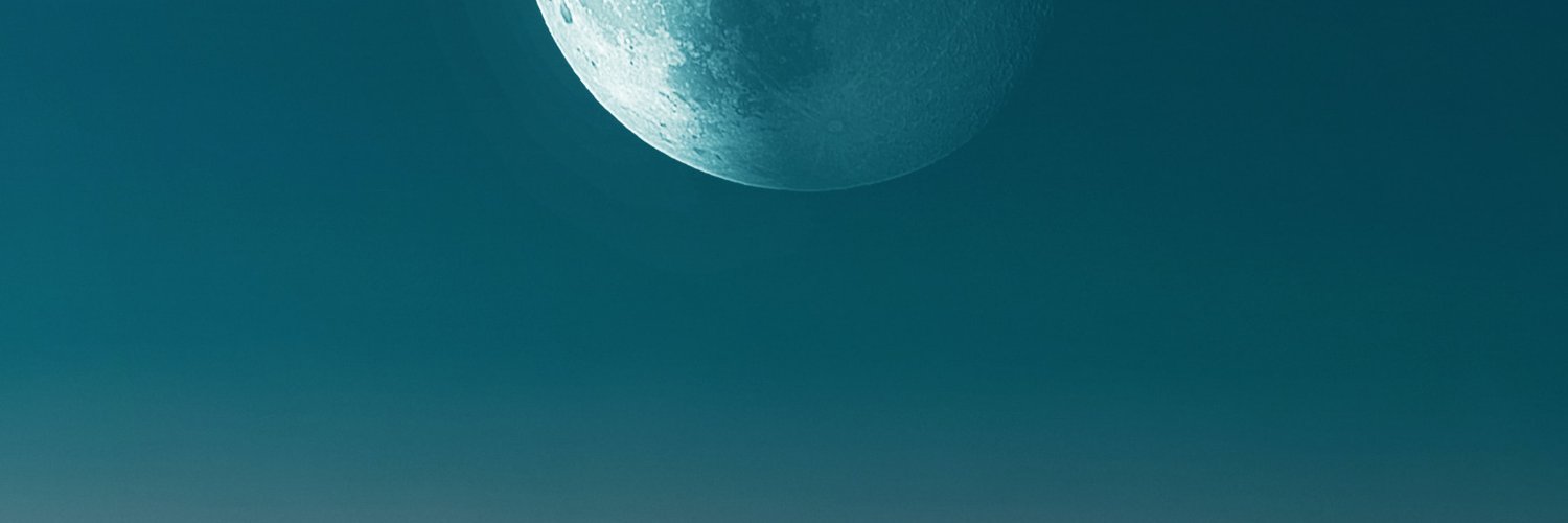 sallamHODLS's profile banner image