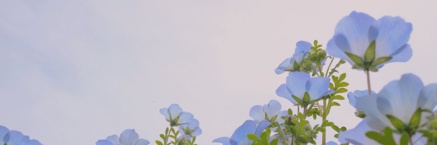 rxx911's profile banner image