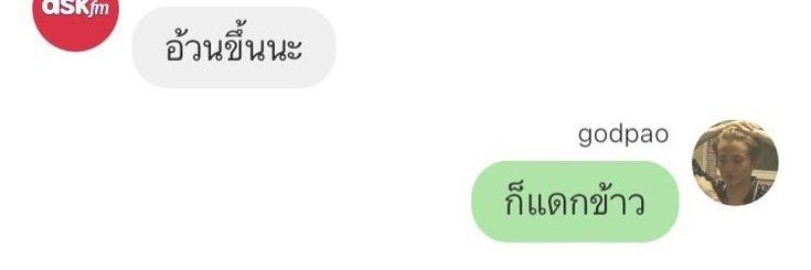 แมวเก่าๆมอมๆ banner