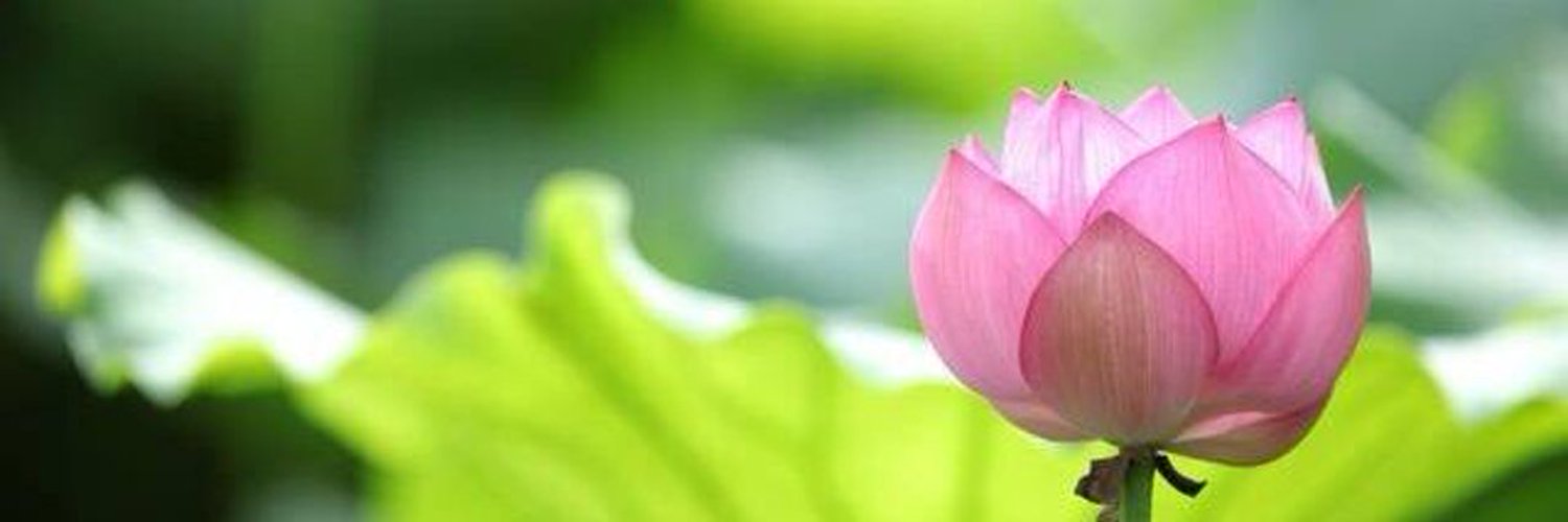RyolovesJongsu's profile banner image