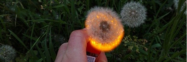 jonathan vinel banner