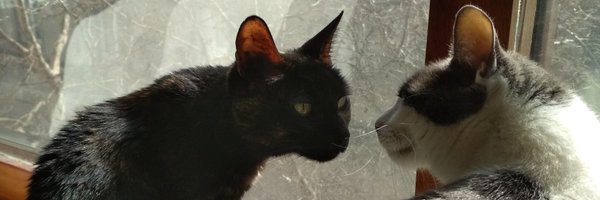 sofemna Profile Banner