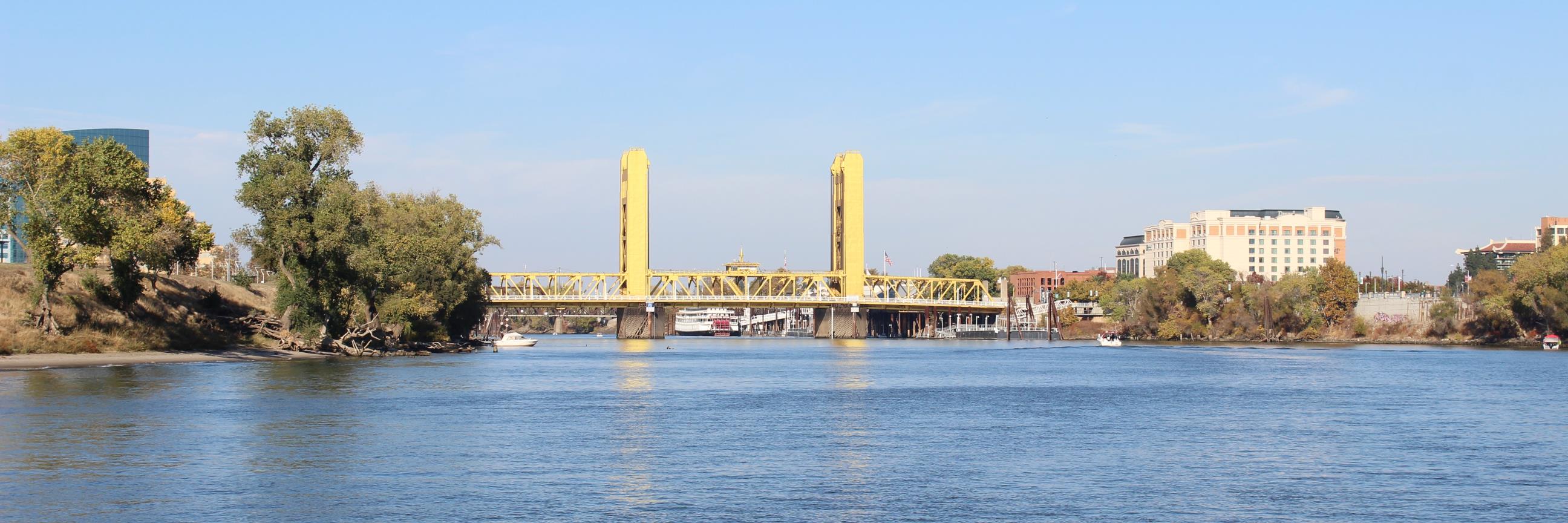 Jolynn Shoemaker banner