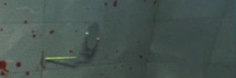 harugatoo's profile banner image