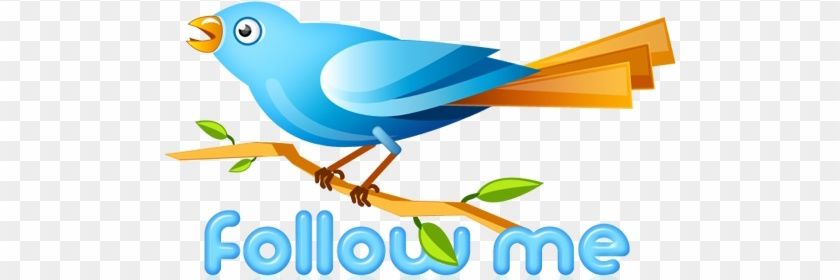 samim00387450's profile banner image