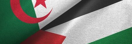 dzgool1's profile banner image