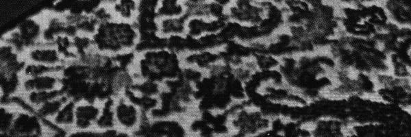 FDG___ Profile Banner