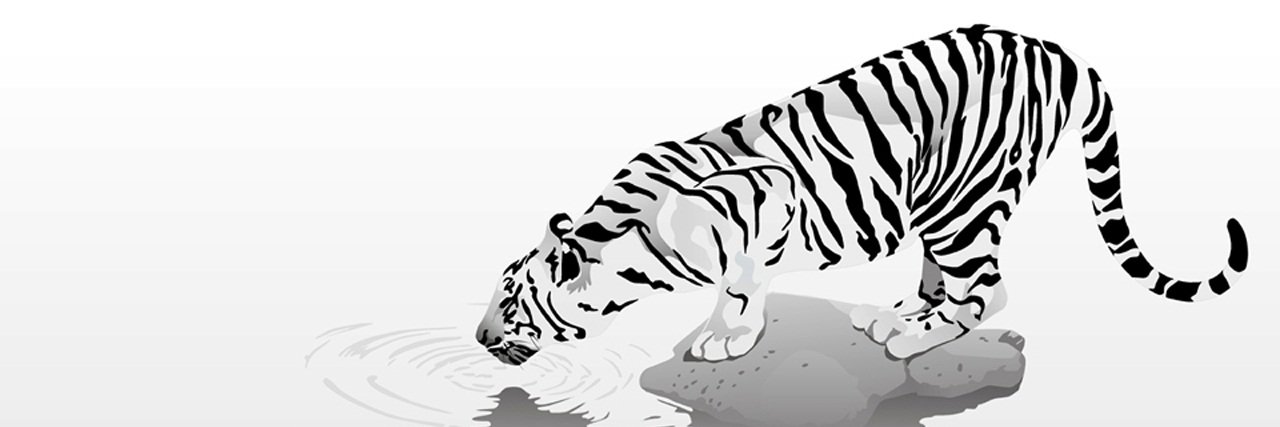 CyberBibi's profile banner image