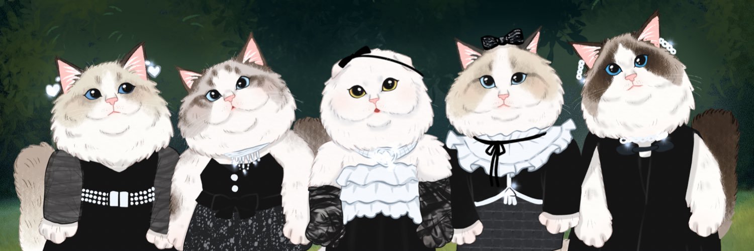 barbaplapla's profile banner image