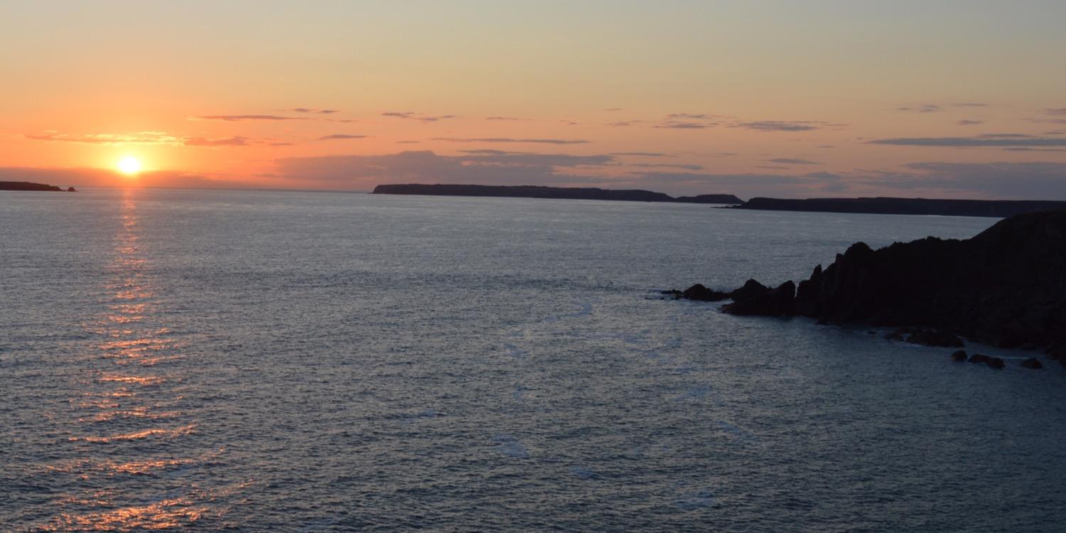 Matthew Davies banner