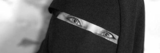 Mi_Sadeghi's profile banner image