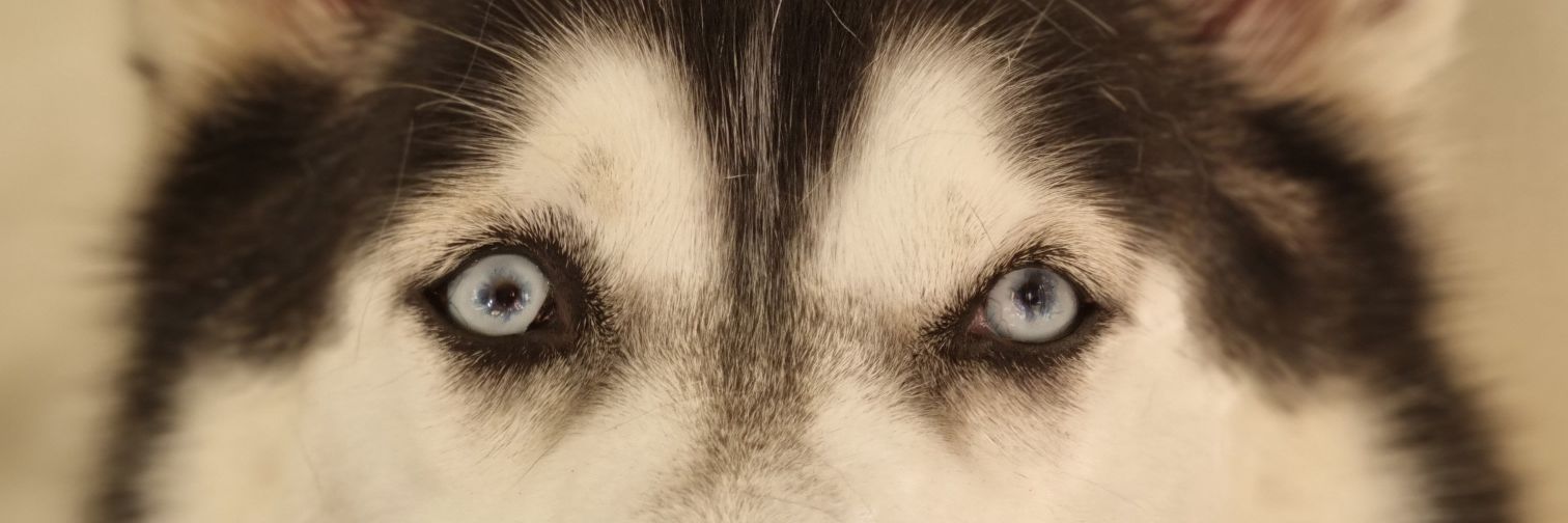 diegoggg12's profile banner image