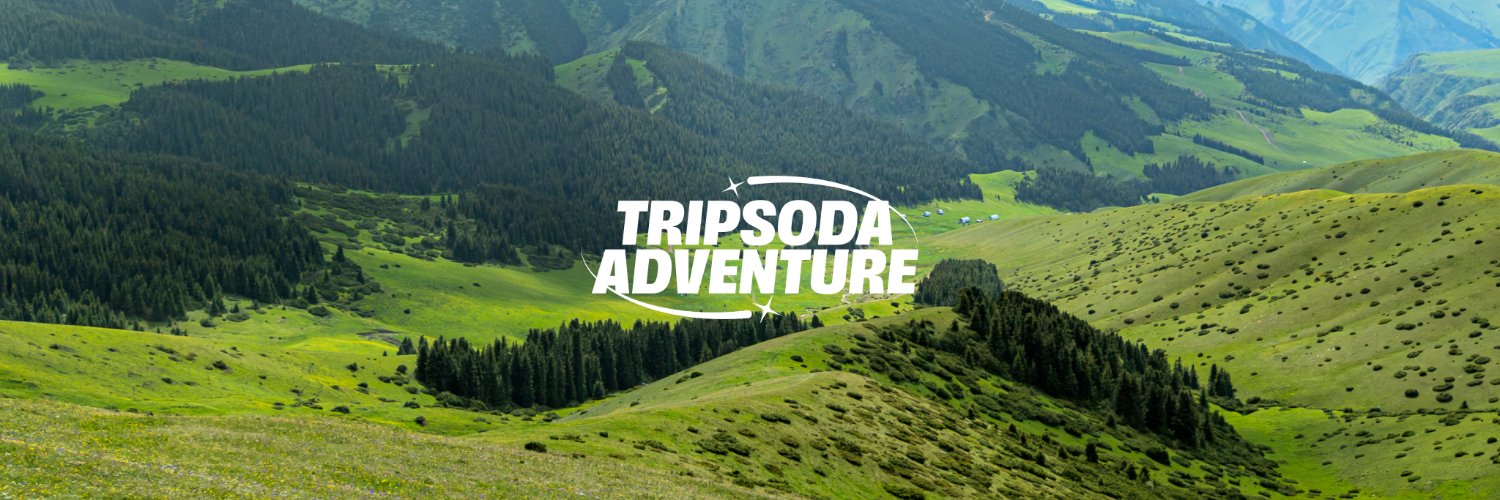 tripsoda_'s profile banner image