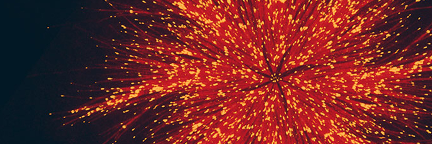 Biophysical Reports banner