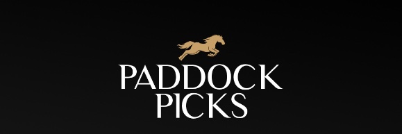 Paddock Picks banner