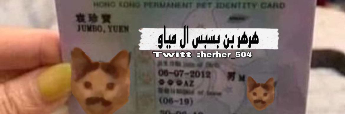 هرهر بن بسبس ال مياو banner