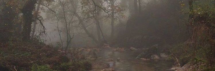 mlmboylovers's profile banner image