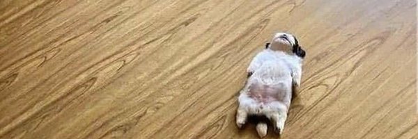 amalryart Profile Banner