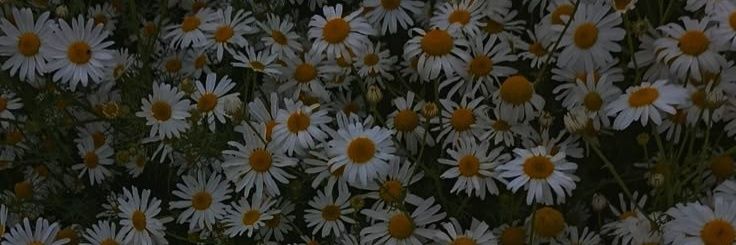 buselycia's profile banner image
