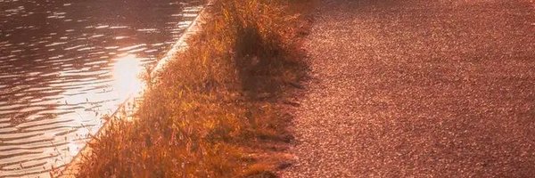 Cyn_diy Profile Banner