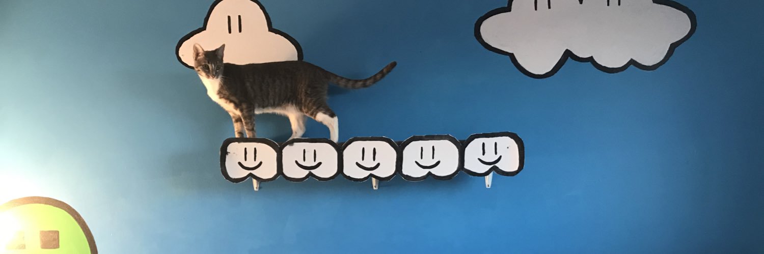 Crits For Cats lnc. Cat Rescue's banner