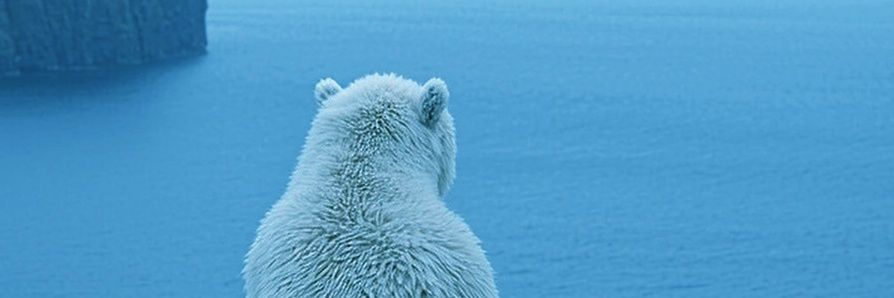 LaCaraBdLP's profile banner image