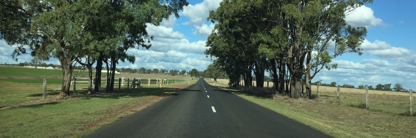 Professor John Cole OAM banner