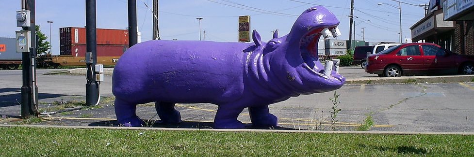 Make Little Chicago great again banner